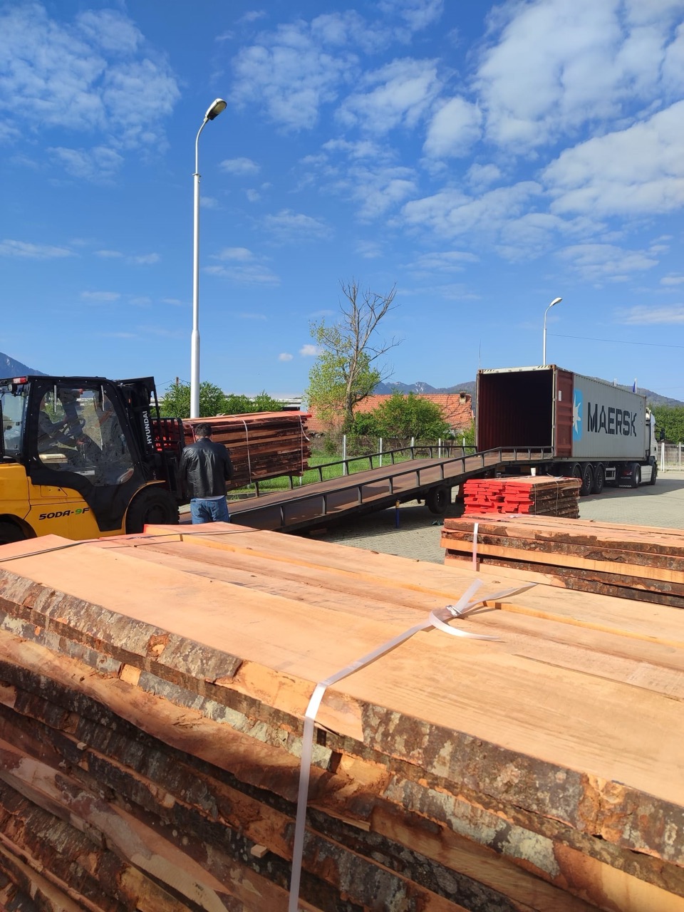 Gỗ dẻ gai xẻ — Beech hardwood lumber - imagine 6